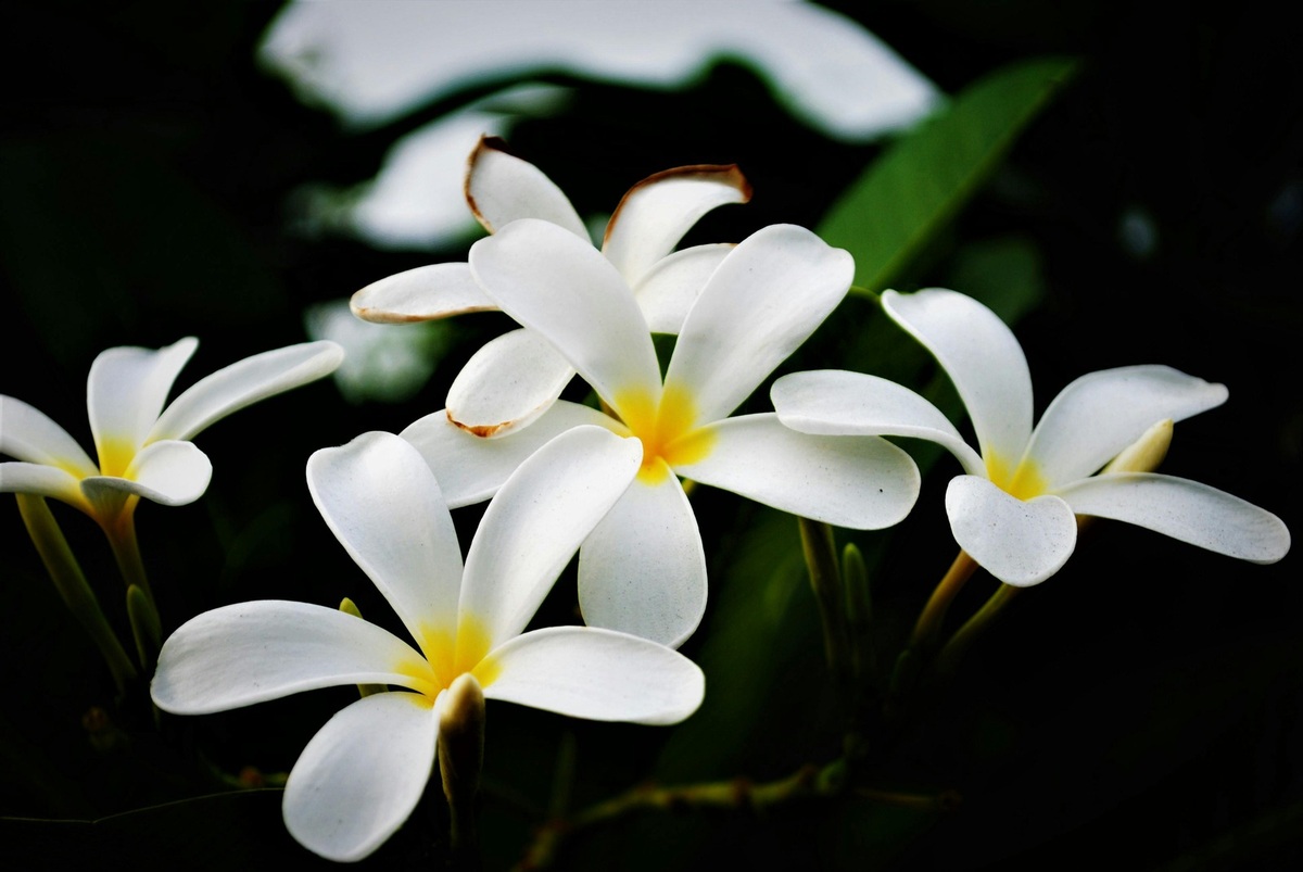 Podnikateľský plán cestovnej kancelárie na stiahnutie a úpravu