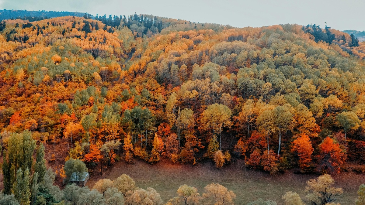 Komunitné športové podujatia pre zdravý a aktívny životný štýl