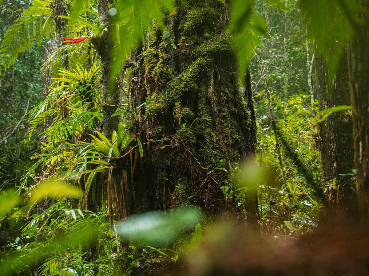 Kedy je vhodné pozastaviť kampaň a zhodnotiť jej efektivitu