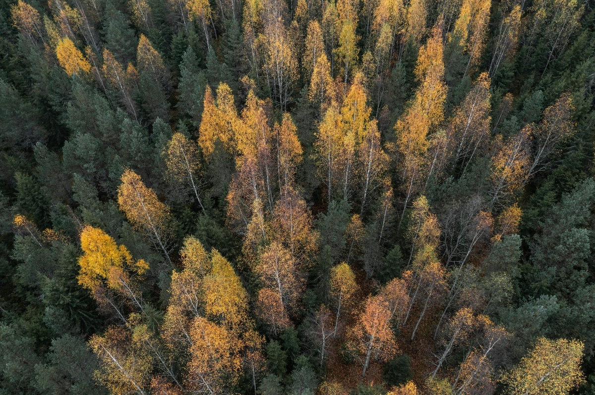 Strategická komunikácia mesta pre podporu rastu a atraktivity